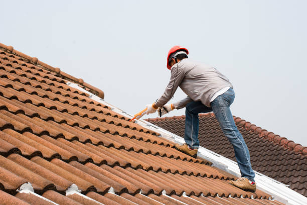 Best Gutter Installation and Repair  in Toledo, OH